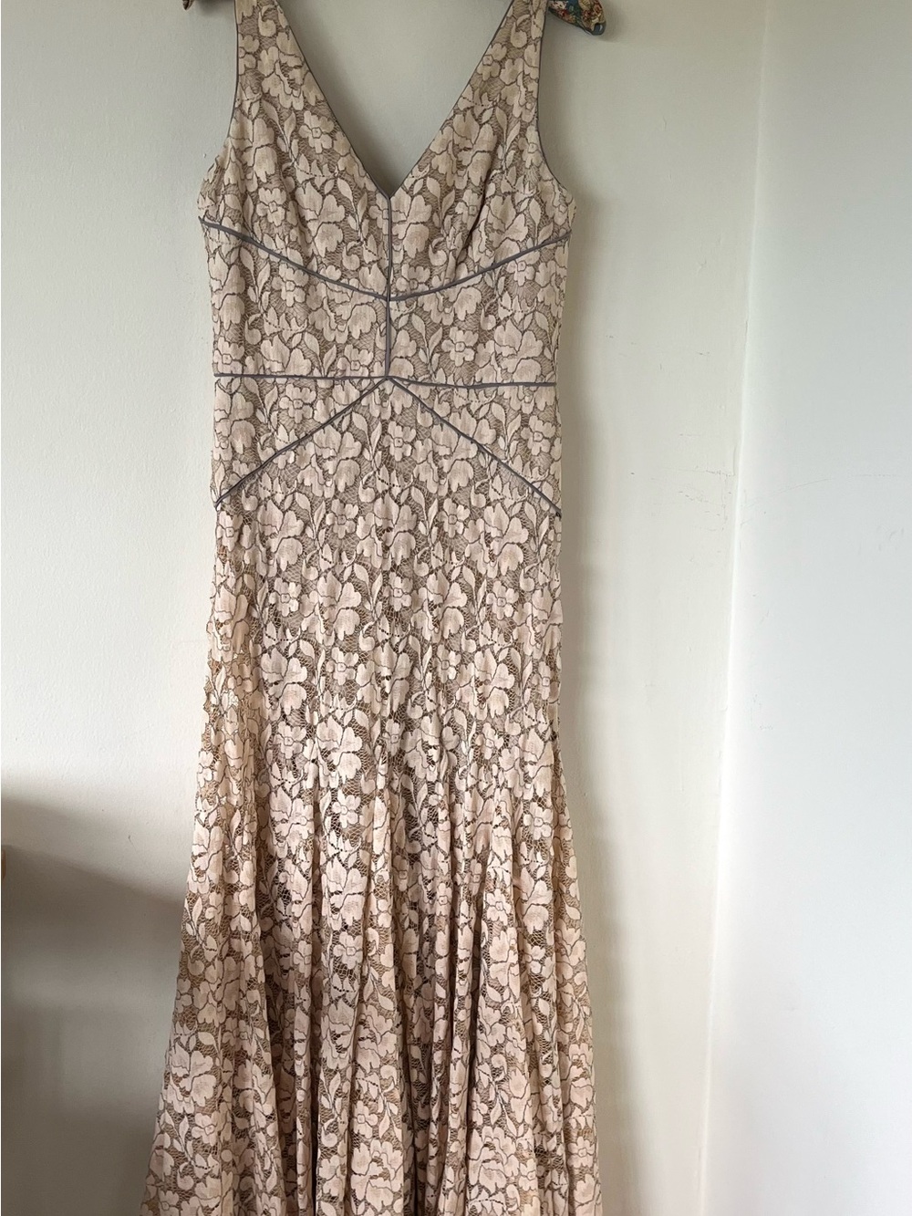 Vera Wang Blush Floral Lace V-Neck Maxi Dress Size 8 EUC Fully Lined Sleeveless - Picture 4 of 10